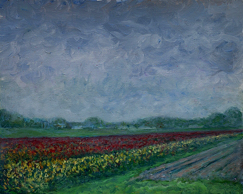 bloembollenveld schilderij