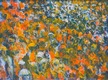 oranje-legioen oranje-legioen